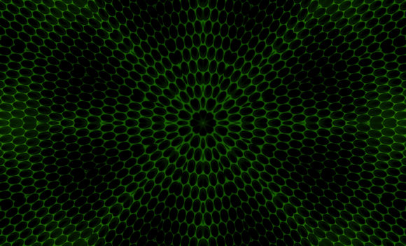 Download Abstract Modern Texture Backgrounds - Premium Resources